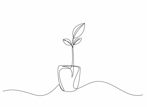 Continuous one line drawing tree. vector art illustration