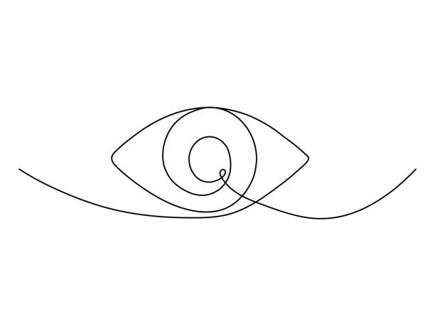 Continuous one line eye drawing. Continuous one line eye drawing. Hand drawn outline vector illustration isolated on white eye illustrations stock illustrations