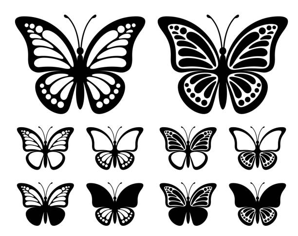 ilustraciones, imágenes clip art, dibujos animados e iconos de stock de contornos de mariposas con alas de monarca - mariposa monarca