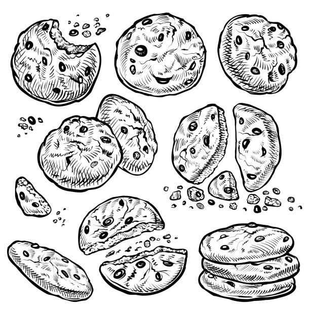 Cookie vector hand drawn illustration. Chocolate chip cookies with crumbs, bitten and whole. Homemade biscuits. Cookie vector hand drawn illustration. Round chocolate chip cookies with crumbs, bitten and whole. Homemade biscuits. cookie stock illustrations
