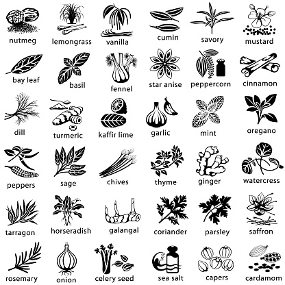 Cooking Herbs and Spices Icons