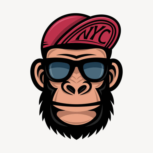 Cool monkey in sunglasses and baseball caps. Fashionable gorilla head Cool monkey in sunglasses and baseball caps. Fashionable gorilla head king kong monster stock illustrations