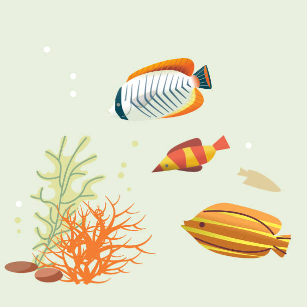 산호와 물고기 - great barrier reef stock illustrations