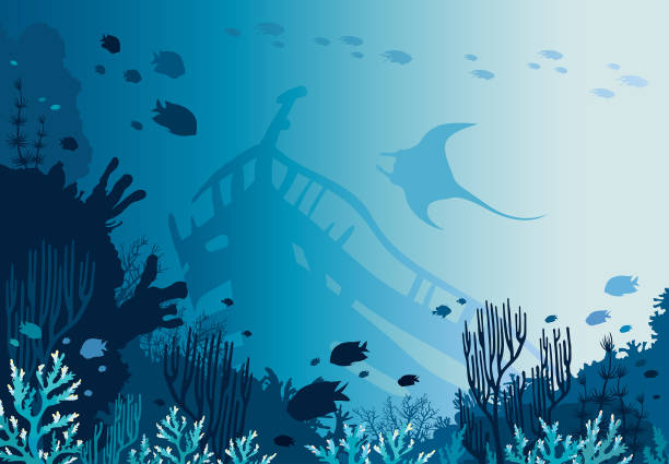 Best Sunken Ship Illustrations Royalty Free Vector Graphics