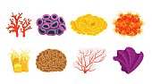 Coral types set. Underwater life. Corals colonies. Tropical waters fauna. Editable collection in bright colours. Vector illustration in a flat cartoon style isoated on a white background