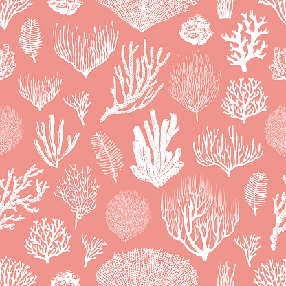 Corals and algae seamless pattern, pink background
