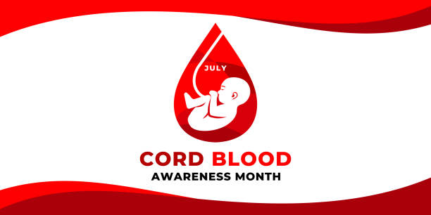 Cord Blood awareness month. Vector web banner, poster, card for social media, networks with text July, Cord Blood awareness month. A drop of blood, umbilical cord, new-born baby on white background. Cord Blood awareness month. Vector web banner, poster, card for social media, networks with text July, Cord Blood awareness month. A drop of blood, umbilical cord, new-born baby on white background pregnant backgrounds stock illustrations