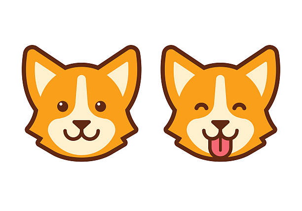 Corgi dog face icon Cute cartoon corgi face. Flat dog head icon design. animal tongue stock illustrations