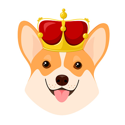 A corgi dog with a crown