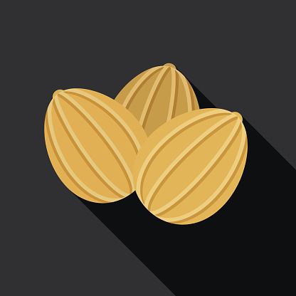 Coriander Seed Spice Icon