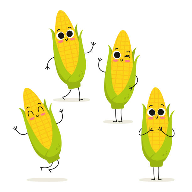 Corn. Cute vegetable vector character set isolated on white Corn. Cute vegetable vector character set isolated on white corn stock illustrations