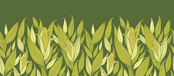 Corn Plants Horizontal Seamless Pattern Background Vector horizontal seamless pattern ornament with hand drawn ornate maize plants in the shades of green and yelllow. corn stock illustrations