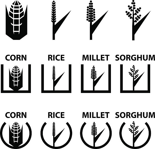 corn rice millet sorghum cereal symbols corn rice millet sorghum cereal symbols - illustration for the web pasta silhouettes stock illustrations