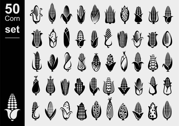 Corn set. Collection icon corn. Vector Collection corn set, edit size and color, vector corn stock illustrations