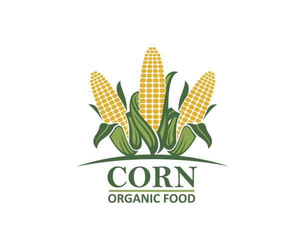 ilustraciones, imágenes clip art, dibujos animados e iconos de stock de emblema vegetal de maíz - corn field