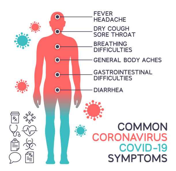 stockillustraties, clipart, cartoons en iconen met coronavirus covid-19 gemeenschappelijke lichaamssymptomen - het menselijke lichaam