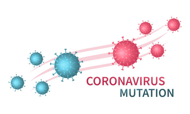 mutacja coronavirus 2021 znak. ewolucja сovid-19. nowe komórki wirusa postaci. zmiana źródła choroby. zapobieganie i ochrona przed zakażeniem. wirusowe zapalenie płuc u ludzi. wektor płaski. - covid variant stock illustrations