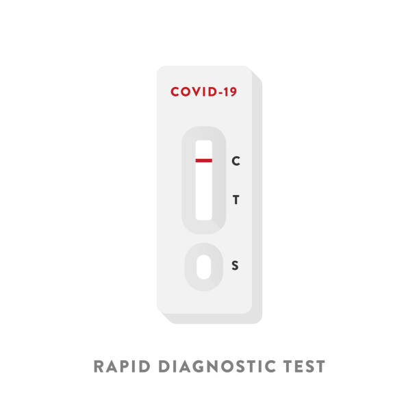 coronavirus hızlı test cihazı. covid-19 tanısı. negatif test sonucu. pandemik kavram. vektör illüstrasyon, düz tasarım - covid test stock illustrations