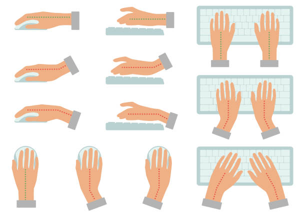 ilustrações de stock, clip art, desenhos animados e ícones de correct and incorrect hand position for use keyboard and holding mouse - keyboard computer hands