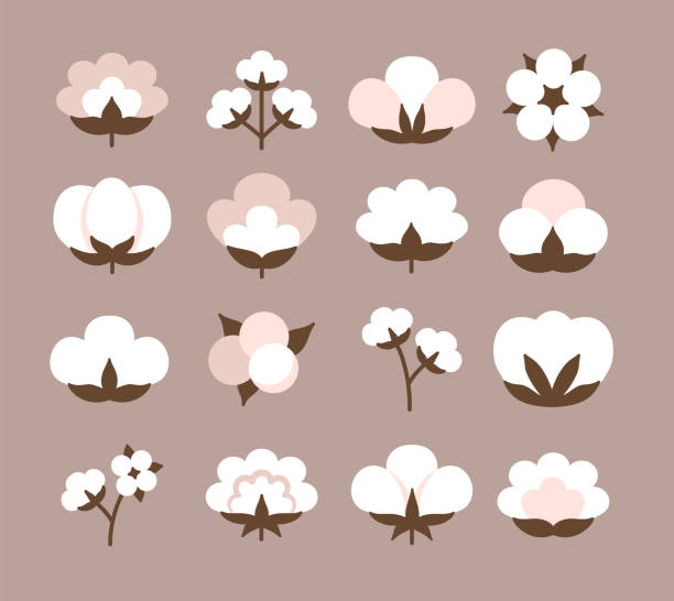 Cotton flower & ball. Beige pastel symbol & logo of natural eco organic textile, fabric. Flat vector icon set Cotton flower & ball. Beige pastel symbol & logo of natural eco organic textile, fabric. Flat icon set. Vector illustration cotton stock illustrations