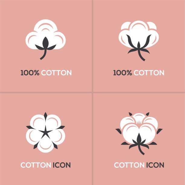 Cotton logo set. Four white cotton logo, symbol, icon set on pink background. cotton stock illustrations