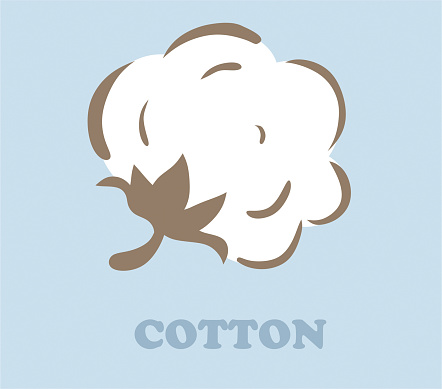 Cotton vector illustration