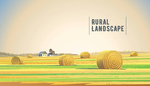 illustrazioni stock, clip art, cartoni animati e icone di tendenza di paesaggio rurale con campo. - fieno