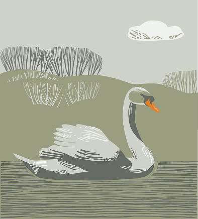Countryside scene with Swan