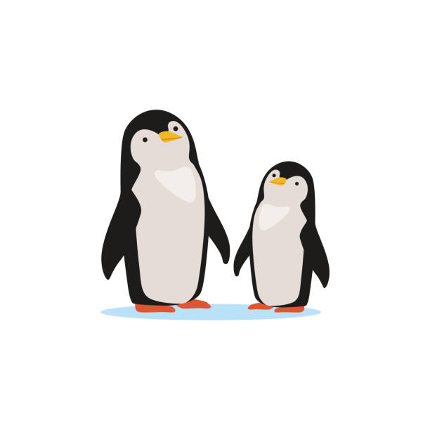 Couple of penguins sitting on an ice, Arctic fauna species vector Illustration Couple of penguins sitting on an ice, Arctic fauna species vector Illustration on a white background baby penguin stock illustrations
