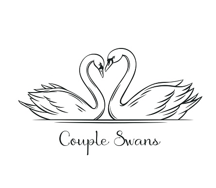 Couple swans outline.