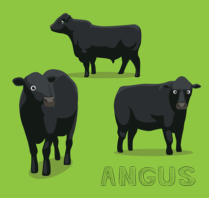 Cow Angus Cartoon Vector Illustration