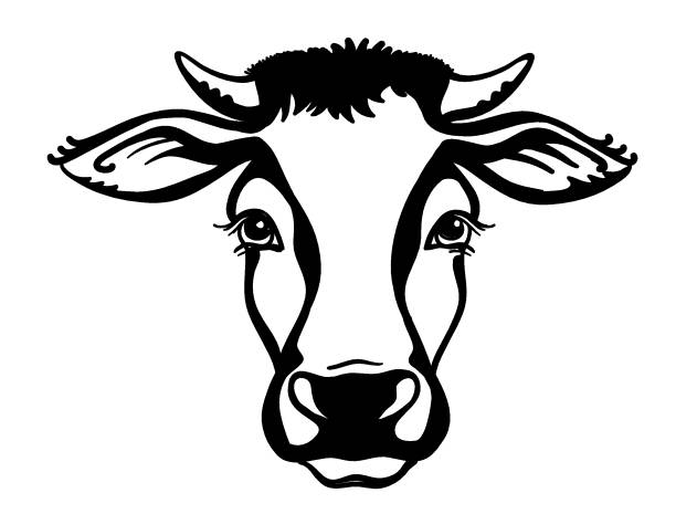 Cow head Farm animal. Vector black graphic illustration isolated on white. Cow head Farm animal. Vector black graphic illustration isolated on white. Cow portrait printable file printable cow stock illustrations