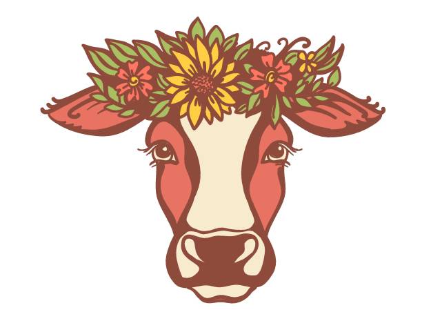 Cow head with flower wreath. Color vector illustration isolated on white. Country Farm animal Cow head with flower wreath. Color vector illustration isolated on white. Country Farm animal. Cow portrait printable file printable cow stock illustrations