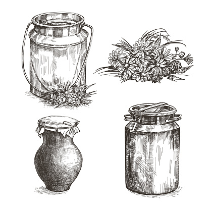 Cow, milk can, earthenware jug and wildflowers. Set of sketch illustrations.