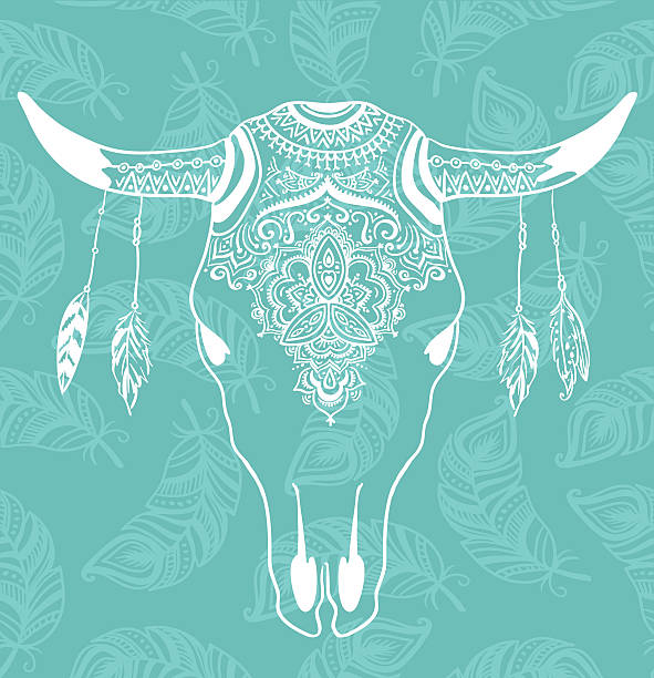 Cow Skull with Feathers isolated on blue background. Boho style. Cow Skull with Feathers isolated on blue background. Boho style. Vector Element for your design. Hand drawn illustration. drawing of the bull head tattoo designs stock illustrations