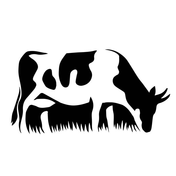 illustrazioni stock, clip art, cartoni animati e icone di tendenza di vacca - alpeggio