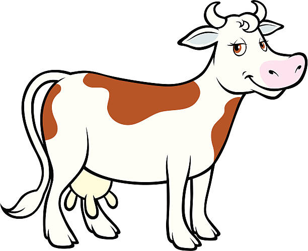 Cow vector art illustration