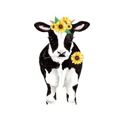 Cow with sunflower crown