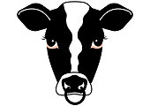 Cow face painted in white, black and pink