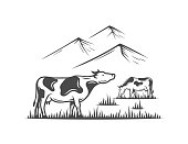 istock Cows graze on a village farm with mountains 1371828921