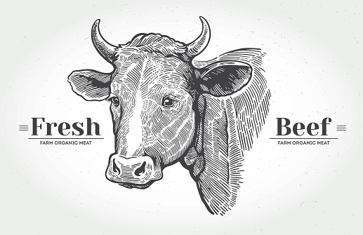 Cows head in graphical style.