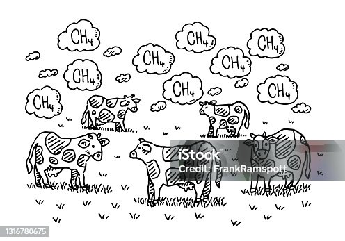 istock Cows Methane Problem Infographic Drawing 1316780675
