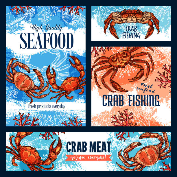 Crab fishing, seafood and crustacean meat Seafood, crab fishing and meat of crustacean animal. Vector sketch posters of underwater crab with claws, sea bottom with corals and seaweeds crabbing stock illustrations