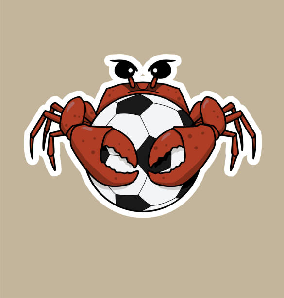 ilustrações de stock, clip art, desenhos animados e ícones de crab is hugging a football - futebol de praia