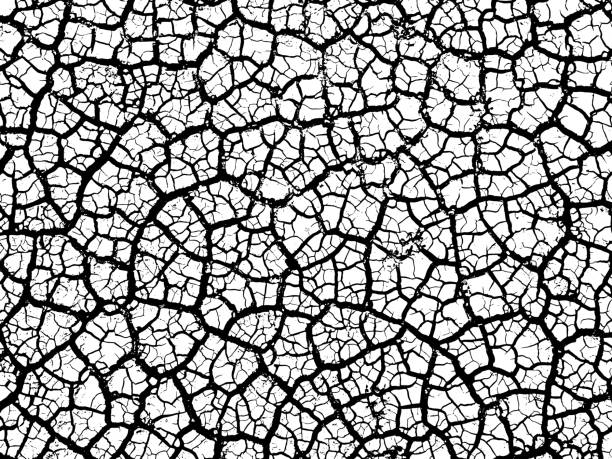 Cracked earth soil texture vector background vector art illustration