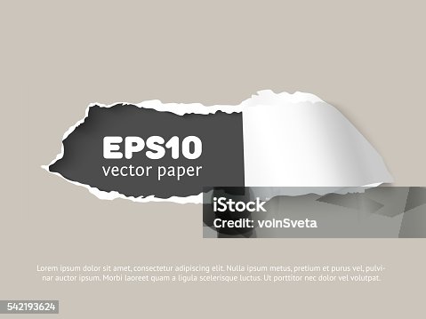 istock Craft vector paper hole with space for text 542193624
