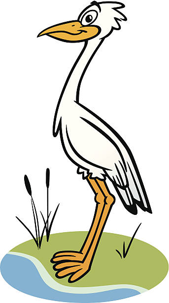 Cartoon Of The Bird Crane Illustrations, Royalty-Free Vector Graphics ...