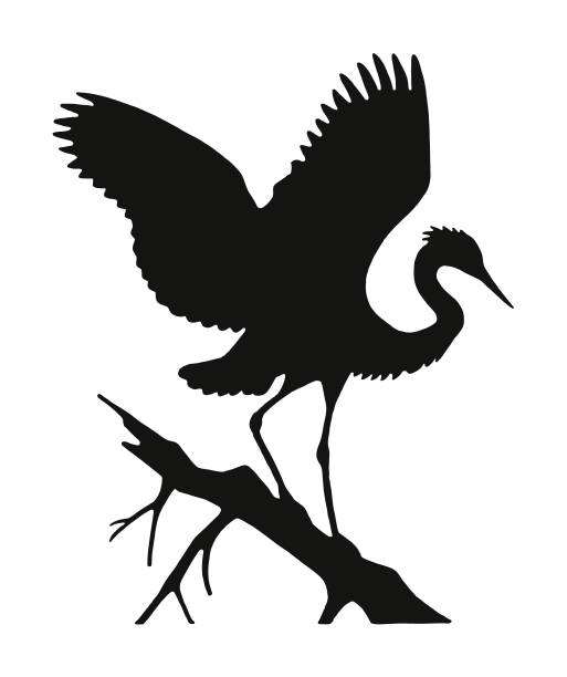Crane Perched on a Branch Crane Perched on a Branch heron family stock illustrations