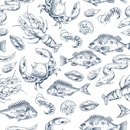 Crawfish and Fishes Sketch Vector Illustration