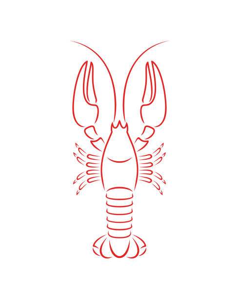 Best Red Crawfish Illustrations, Royalty-Free Vector ...